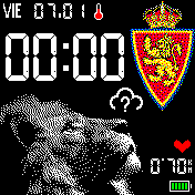 Real Zaragoza dbrl (BIP S)