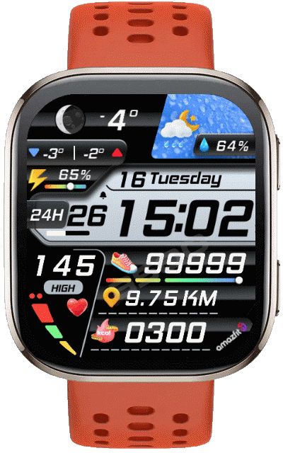 MOD (OMG 272 )  Bip 6