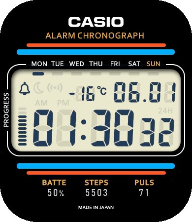 Digital Casio
