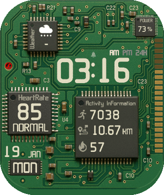 CircuitBoard ( Bip 5 )