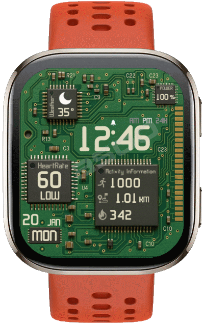 Circuit Board ( Bip6)