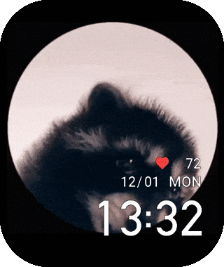 Pedro-Racoon_GTS_4_Bip_5