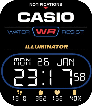 Casio Classic