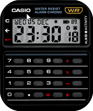 C A S I O Calculator