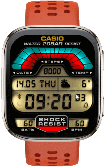 DW-6000 ( Bip 6 )