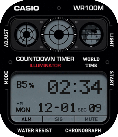 Casio 100M AOD