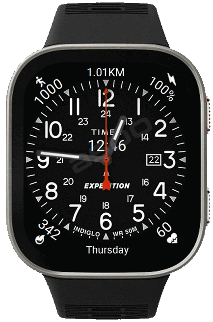 TimeX ( Bip Max )