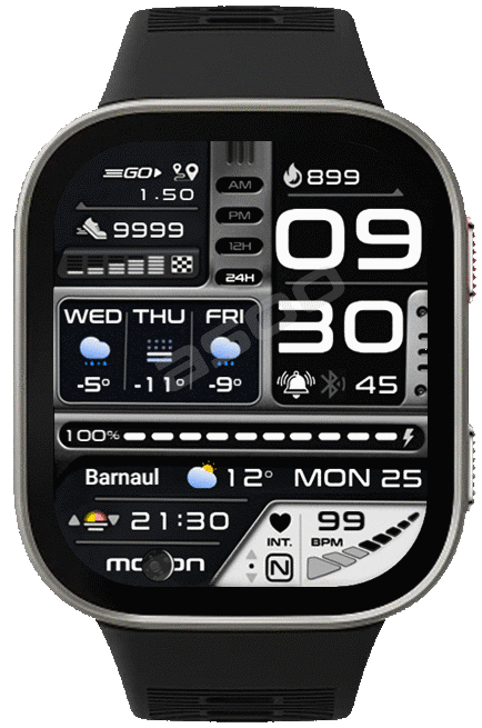 G-339 ( Bip Max )