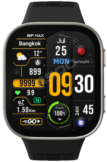 G-317 ( Bip Max )