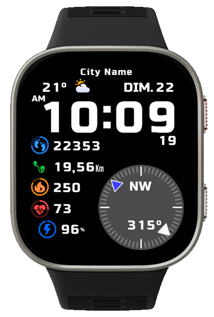 CM_Compass_BipMax