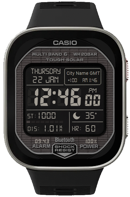 C a s i o WR208AR