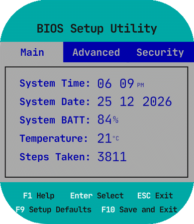 BIOS Setup DD/MM