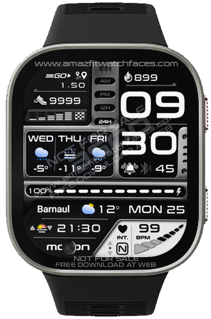 G-339 ( Bip Max )