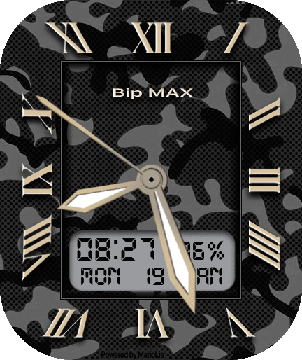 Army bip 2