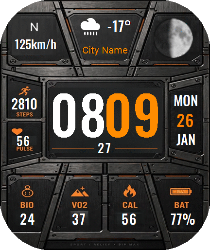 Bip_Max_121026