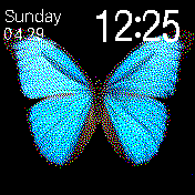 Blue Butterfly
