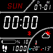 Casio Black Gray without seconds