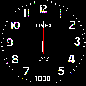 Timex SS