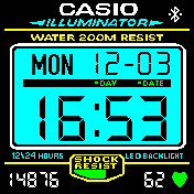 Casio HR