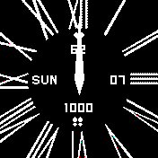 Classic Analog Pictus