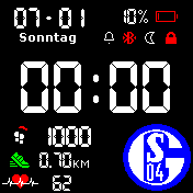 FC Schalke 04