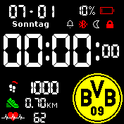 Borussia Dortmund 09 (BVB)