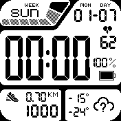 LCD mono Casio style