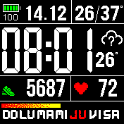 GavinWin Digital Español 12hrs