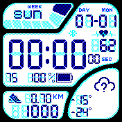 LCD mono Casio style 4