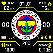 Fenerbahçe V4