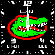 Florida Gators Analog