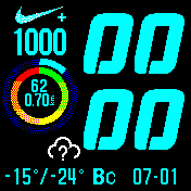 Nike+ v5.5 24h RU v2