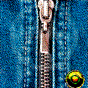 Hidden in Jeans... 24h