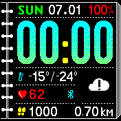 Diary 12hour version