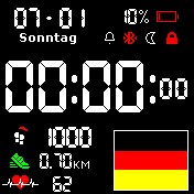 German National Flag 24h