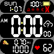HeartRate(BLACK 12h AM/PM and Miles)