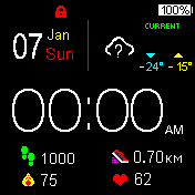 Digi-E1 (12hrs/24hrs)