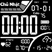 LCD Casio style Black 24H VN