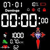 Real Club Celta de Vigo