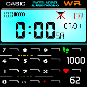 CASIO