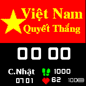 VIET NAM VO DICH