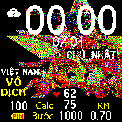 việt nam vô địch