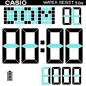Big Casio 03v1