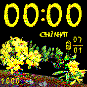 Mai vàng dễ chỉnh sửa