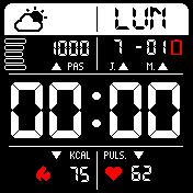 RaykDigitalProgressFR