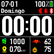 BipFace08 V2.1, EN, ES, PL, GER, V2  EN, ES, PT, FR, IT, RUS, GER_DE