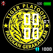 Tiger Platoon