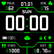 turtlegreen42 green 12hr v4