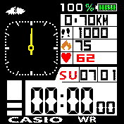 casio wr v.2
