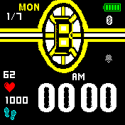 Boston Bruins